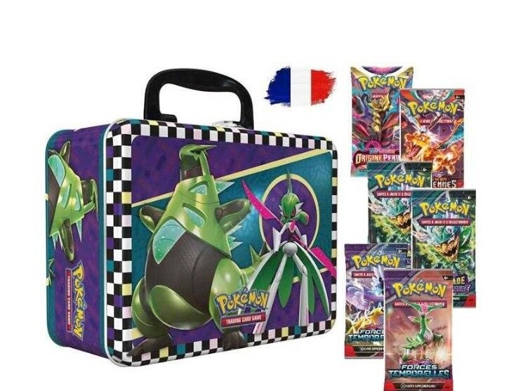 Valisette pokemon 2024 épine de fer / garde de fer